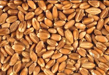 saveurs et tradition